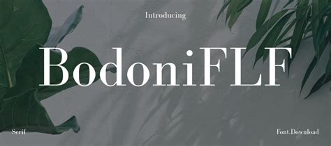 bodoniflf font free download